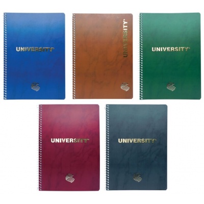 292443-292450-university-gold-a4-all